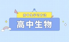 如何打好高中生物的基礎(chǔ)_高中生物學(xué)習(xí)方法總結(jié)