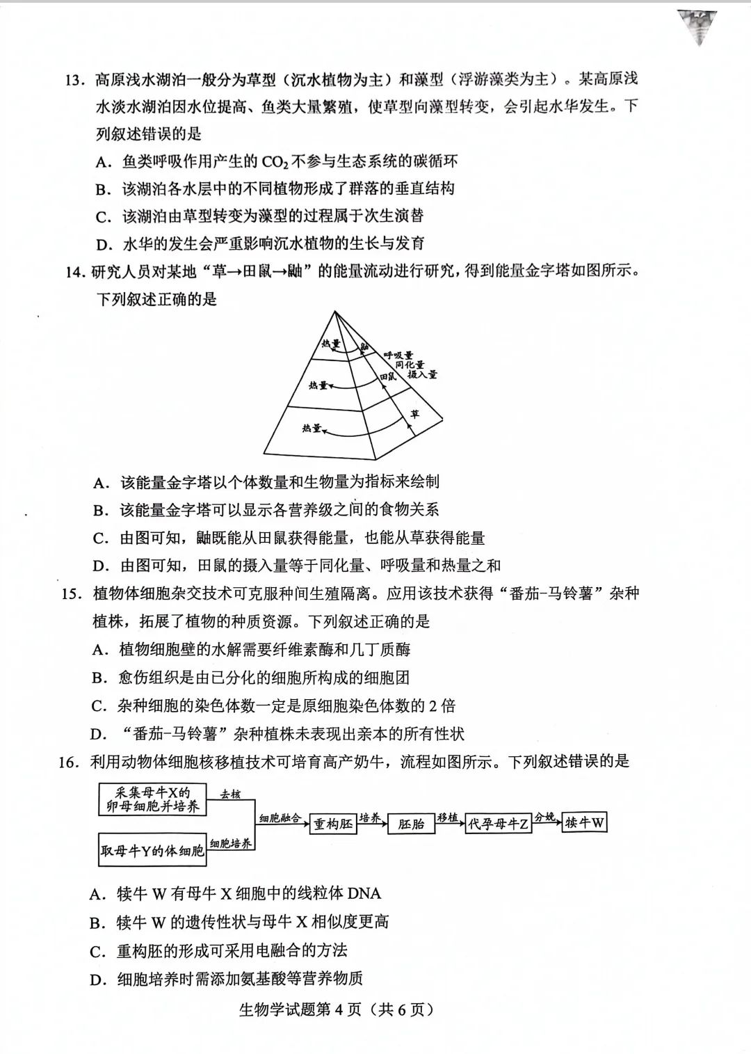 新高考2024九省聯(lián)考生物試卷及答案解析