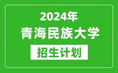 2024年青海民族大學(xué)藝考招生計(jì)劃_藝術(shù)類各專業(yè)招生人數(shù)