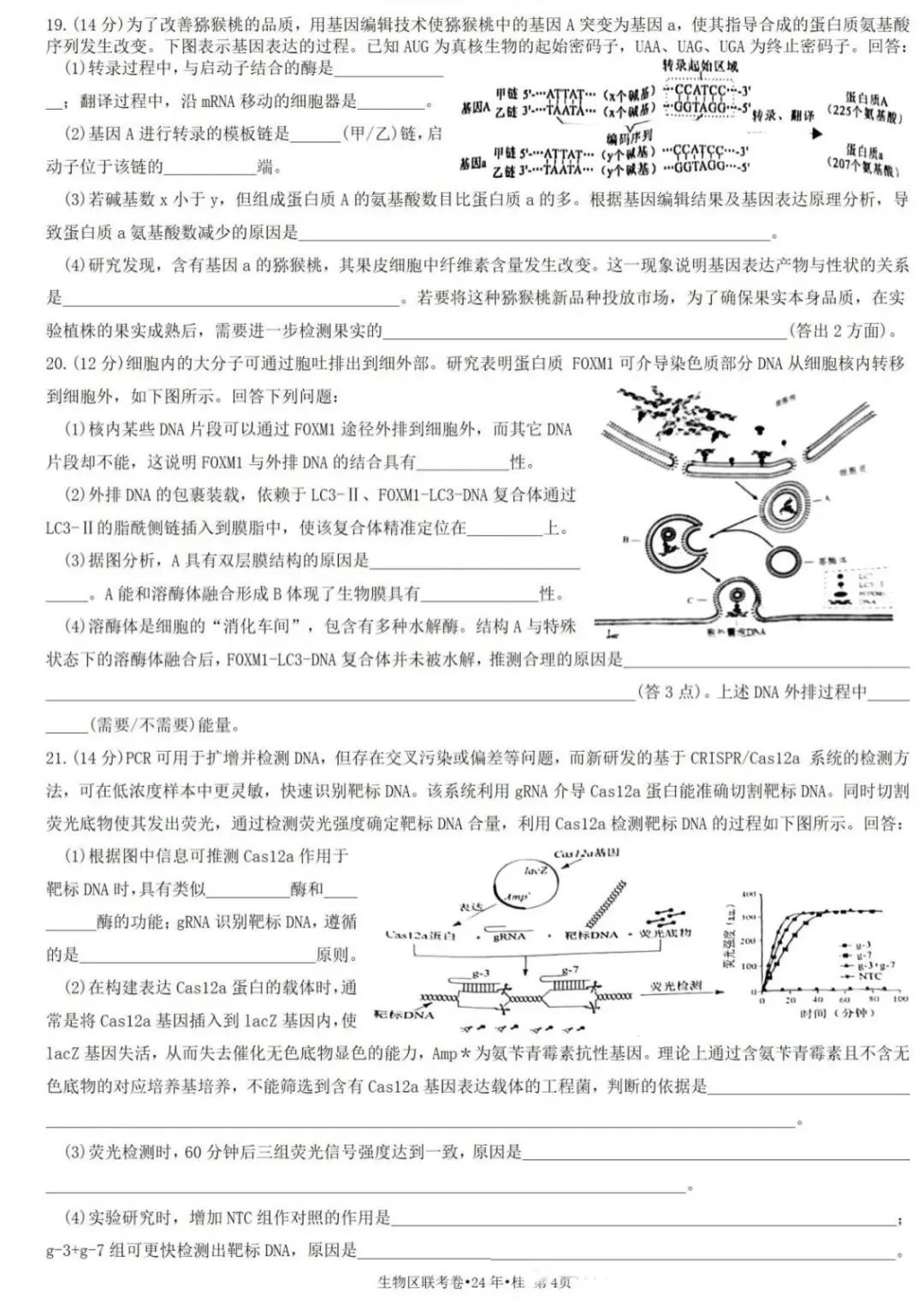 新高考2024九省聯(lián)考廣西生物試卷及答案解析