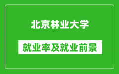 北京林業(yè)大學(xué)就業(yè)率怎么樣_就業(yè)前景好嗎？