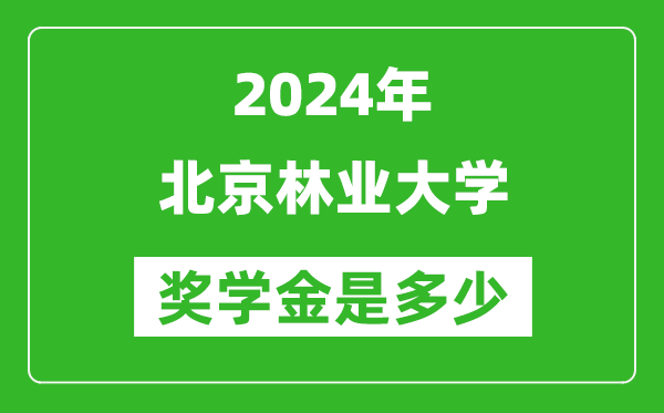 2024年北京林業(yè)大學獎學金多少錢,覆蓋率是多少？