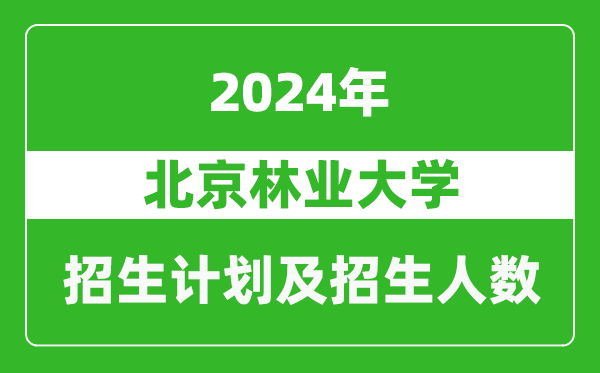 北京林業(yè)大學(xué)2024年在西藏的招生計劃及招生人數