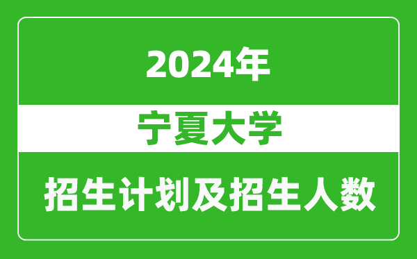 寧夏大學(xué)2024年在青海的招生計劃及招生人數