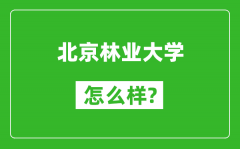 北京林業(yè)大學(xué)怎么樣好不好_值得報考嗎？