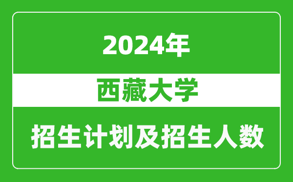 西藏大學(xué)2024年在甘肅的招生計劃及招生人數