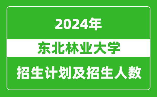 東北林業(yè)大學(xué)2024年在內(nèi)蒙古的招生計(jì)劃及招生人數(shù)