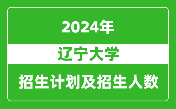 遼寧大學(xué)2024年在遼寧的招生計劃及招生人數